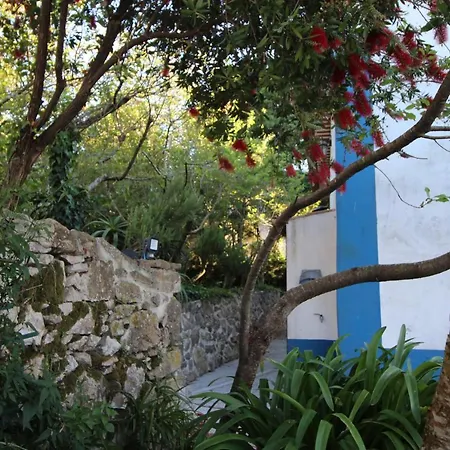 Casas Altas Obidos - Al Semesterbostad *