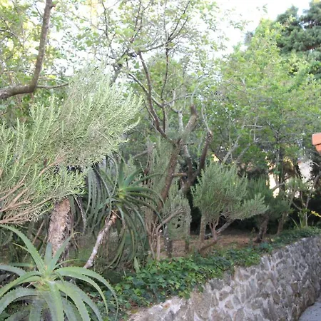 Casas Altas Obidos - Al Semesterbostad *